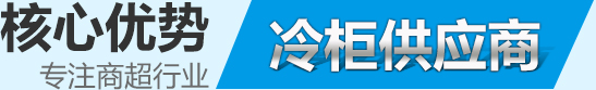 核心優(yōu)勢(shì) 核心優(yōu)勢(shì)